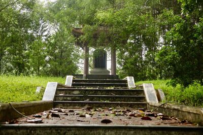 Từ Tân Trào tìm về mạch nguồn di sản Nha Thông tin
