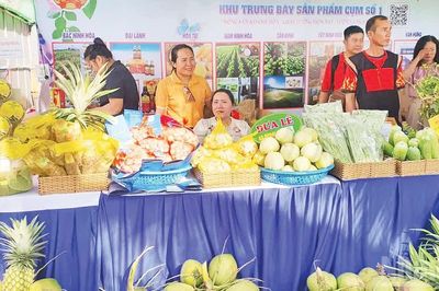 Nâng tầm giá trị nông sản