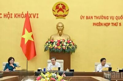 Ban hành các nghị quyết của Ủy ban Thường vụ Quốc hội về công tác nhân sự, tổ chức
