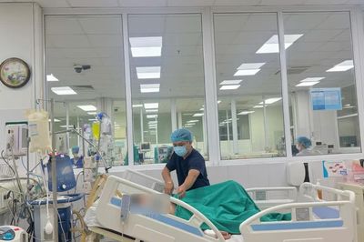 Cảnh báo sốt mò có thể gây sốc, suy đa tạng