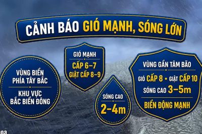 [Video] Áp thấp nhiệt đới trên Biển Đông có khả năng mạnh lên thành bão
