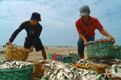 Giữ bản sắc trong quá trình đánh thức tiềm năng biển, đảo