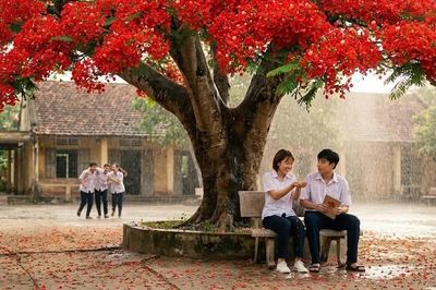 Hạ cuối