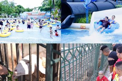 Hà Nội: Công viên, sở thú đông vui khi người dân 'lười' đi chơi xa