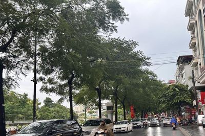 Thời tiết ngày 31/8: Nhiều nơi mưa lớn