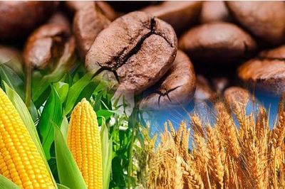 Xây dựng Luật Giao dịch Hàng hóa: Phải đầy đủ và chi tiết