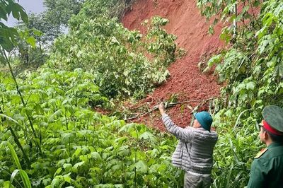 Taluy cao 20m sạt xuống nhà xưởng ở Lâm Đồng
