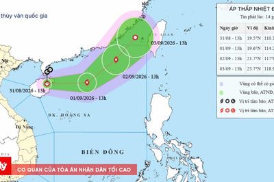 Áp thấp nhiệt đới có thể thành bão cấp 8 trên Biển Đông