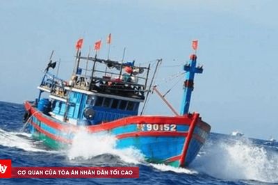 21 tỉnh, thành chủ động ứng phó áp thấp nhiệt đới