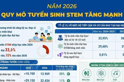Cơ cấu đào tạo đại học năm học 2025-2026