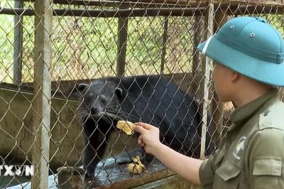 Đồng Nai: Nơi hồi sinh những động vật quý ở Vườn Quốc gia Bù Gia Mập