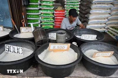 Indonesia tìm vị thế mới trên thị trường gạo xuất khẩu