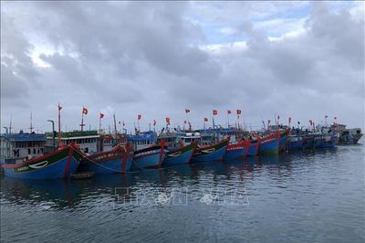 Từ Quảng Ninh đến An Giang chủ động ứng phó với áp thấp nhiệt đới khả năng mạnh lên thành bão