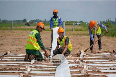 Thi công xuyên lễ, chạy đua tiến độ cao tốc Châu Đốc - Cần Thơ - Sóc Trăng