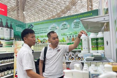 Hiểu đúng CBAM, doanh nghiệp nhiều cơ hội vào thị trường EU