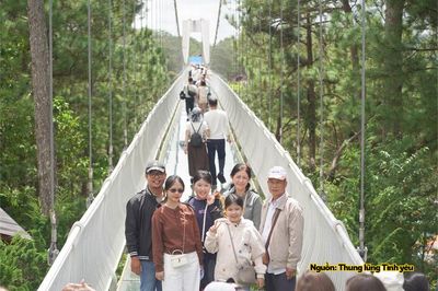 Đà Lạt giữ tình du khách từ một chuyến bay bị hủy
