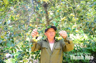Đánh thức “kho vàng” trên đỉnh Pù Ngùa