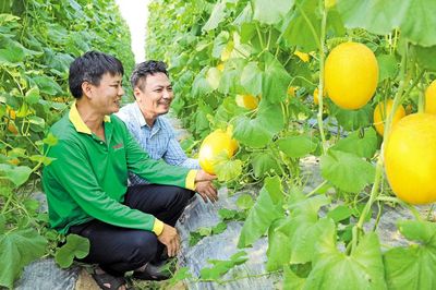 Bảo Đài: Chung sức, đồng lòng dựng xây quê hương