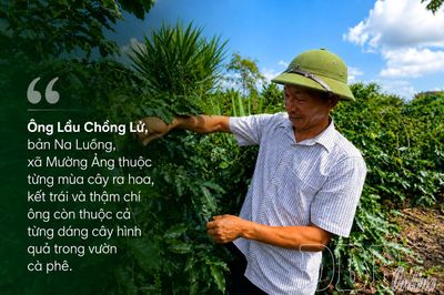 Một nghị quyết, hai cây chủ lực và khát vọng vươn mình