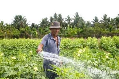 Phường Mỹ Phong: Quyết tâm thực hiện mục tiêu giảm nghèo bền vững