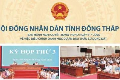 Hội đồng nhân dân tỉnh Đồng Tháp ban hành Nghị quyết 46 ngày 9-7-2026 việc điều chỉnh danh mục dự án đấu thầu sử dụng đất