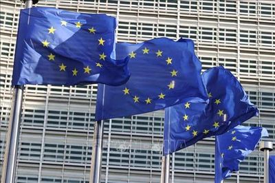 Cử tri Iceland bác đề xuất nối lại đàm phán gia nhập EU