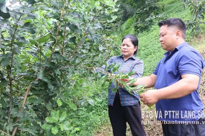 Nâng cao nhận thức và trách nhiệm về công tác giảm nghèo