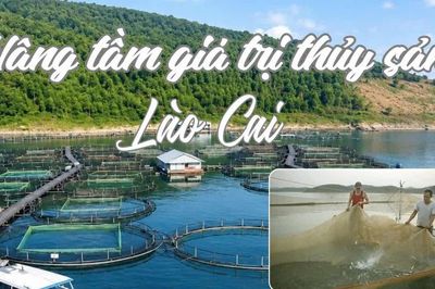 Nâng tầm giá trị thủy sản Lào Cai