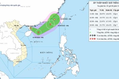 Tin áp thấp nhiệt đới trên khu vực Bắc Biển Đông ngày 31/08/2026 có thể mạnh lên thành bão