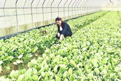 Ứng dụng công nghệ số trong nông nghiệp
