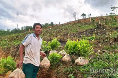 Gương sáng giữa đại ngàn