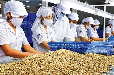 Giải bài toán 'xuất khẩu lớn, thương hiệu nhỏ'