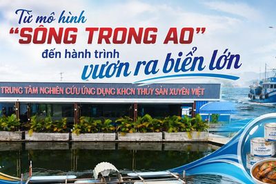 Từ mô hình 'sông trong ao' đến hành trình vươn ra biển lớn
