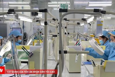 Chậm trả lương có thể bị phạt đến 100 triệu đồng