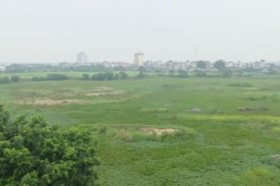 Hà Nội đấu giá khu đất 6.700 m² tại xã Đông Anh