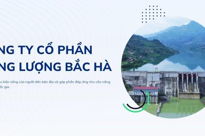 Năng lượng Bắc Hà báo lãi bán niên 2026 đạt 26,6 tỷ đồng