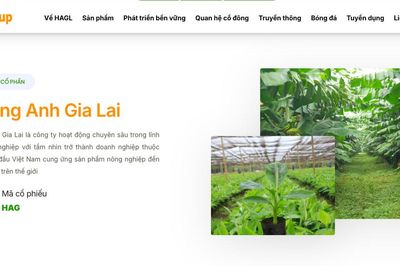 HAGL (HAG) bán gần 14,7 triệu cổ phần HGI với giá thấp hơn 25% so với giá IPO