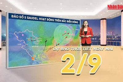 [Video] Dự báo thời tiết đêm nay và ngày mai 2/9/2026: Bắc Bộ nắng mạnh, Trung Bộ giảm mưa