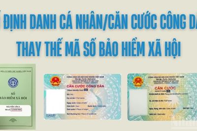 Từ ngày 1/9: Số định danh cá nhân/căn cước công dân thay mã số bảo hiểm xã hội