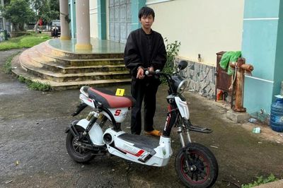 Truy kẻ trộm, lộ kẻ bán ma túy