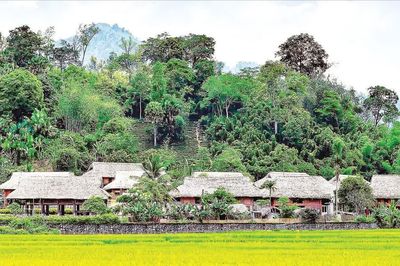 Về lại Tân Trào