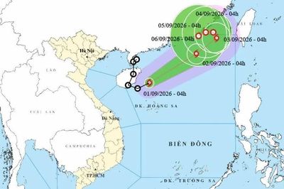 Áp thấp nhiệt đới đã mạnh lên thành bão số 5