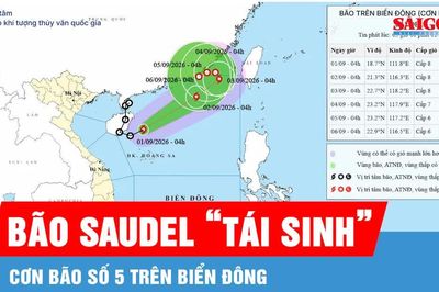 Áp thấp nhiệt đới đã mạnh lên thành bão số 5
