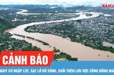 Chủ động phòng ngừa sạt lở, ngập úng ven sông Đồng Nai