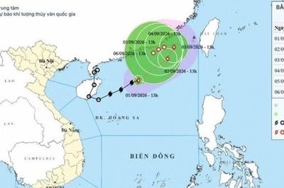 Bão số 5 gây sóng cao 6m trên Biển Đông