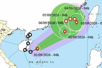 Bão Saudel 'tái sinh', trở thành bão số 5 trên Biển Đông