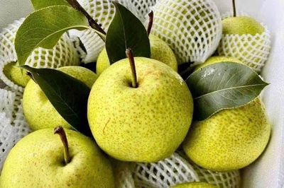 Quả lê tốt thế nào cho sức khỏe, ai nên ăn thường xuyên?