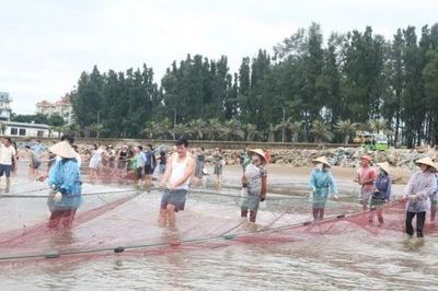 Giám đốc sở, chủ tịch xã ở Thanh Hóa xuống biển kéo rùng, kích cầu du lịch
