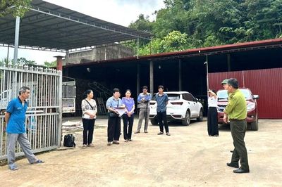 Kiểm sát chặt chẽ việc xem xét, thẩm định tại chỗ diện tích đất tranh chấp