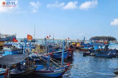 TP Hồ Chí Minh: Siết quản lý tàu cá, giám sát VMS 24/7 để chống khai thác IUU